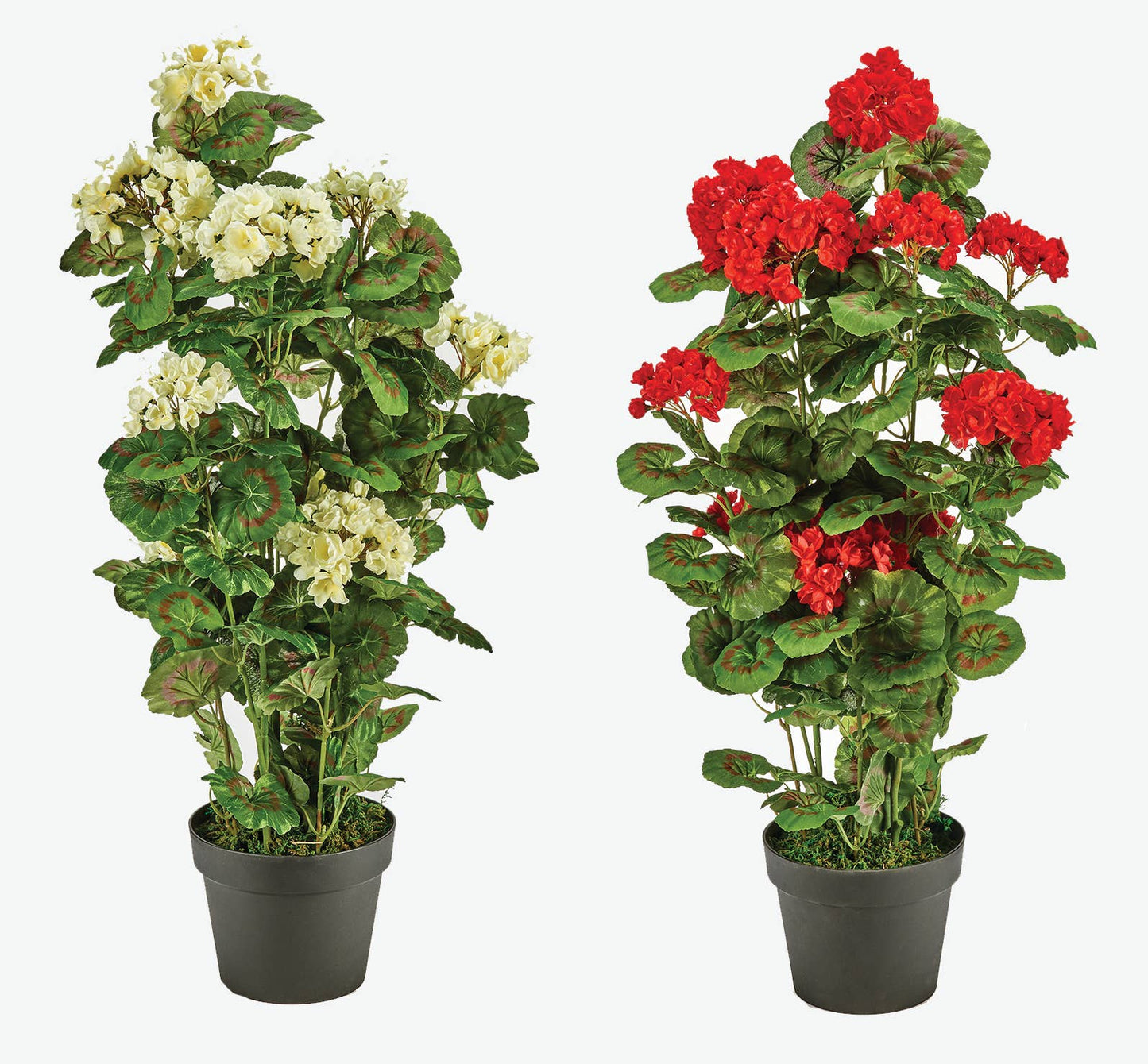 31" Faux Geranium In 7" Pot With Moss: White