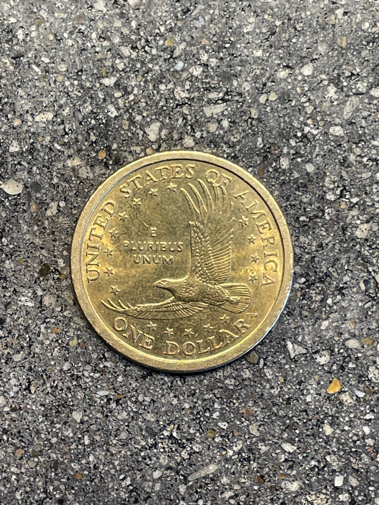 Sacagawea Dollar Coin Ring: 12 / Patina / Protective coating