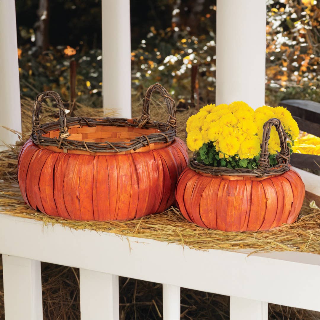 small RD CHIPWOOD SH pumpkin basket