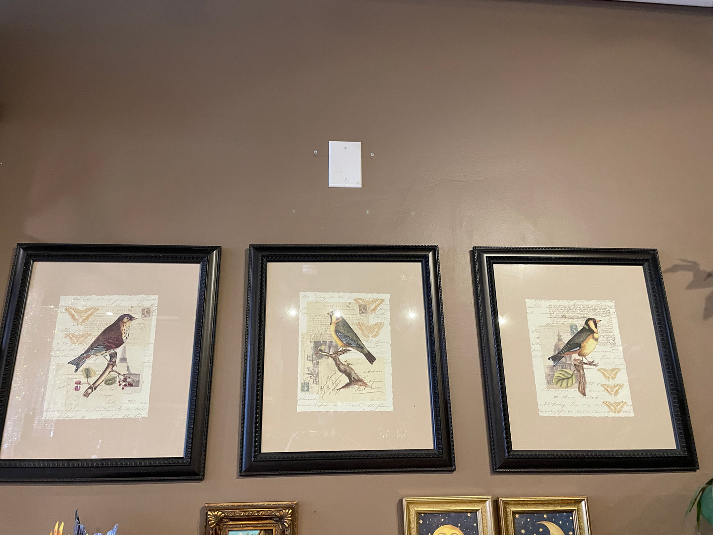 Bird Picture, brown frame - each
