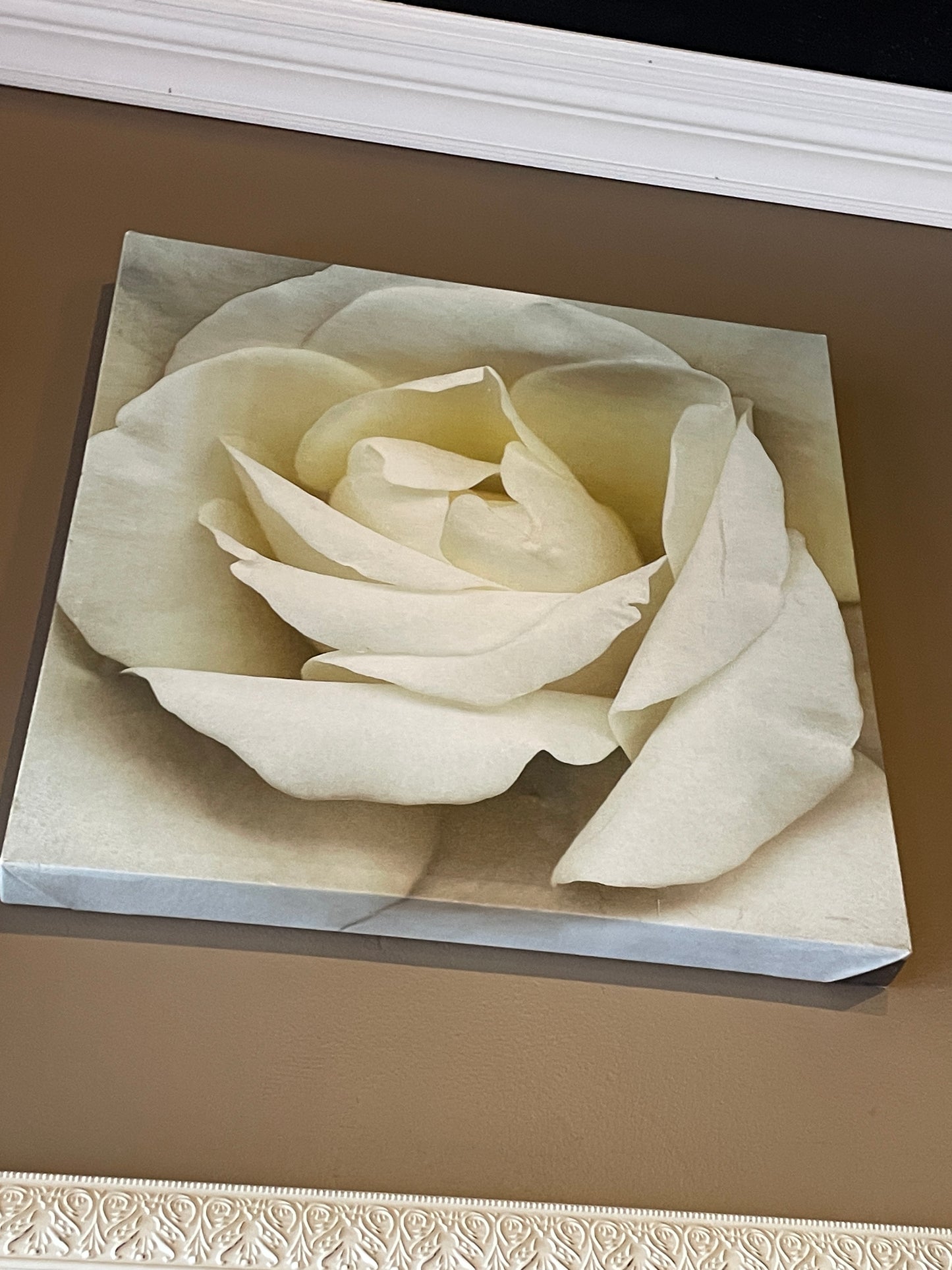 Rose on Canvas