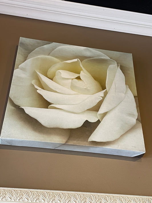 Rose on Canvas