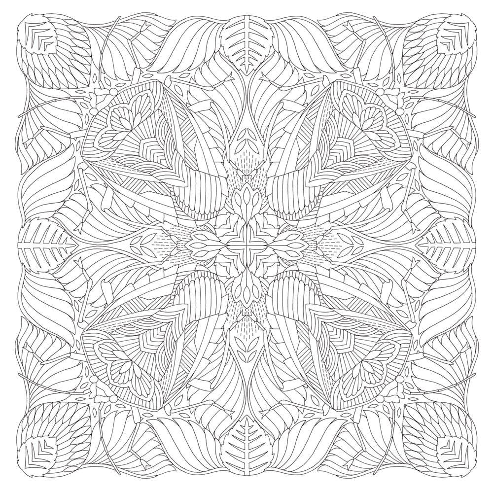 Millie Marotta's Woodland Wild: A Coloring Book Adventure
