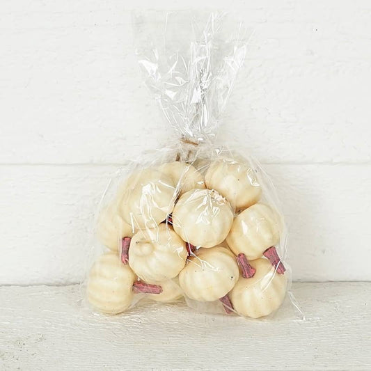 ISB67403- Mini Pumpkin in Bag