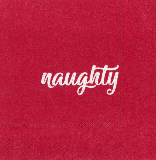 Paper Cocktail Napkins Pack of 20 Napkins Naughty and Nice