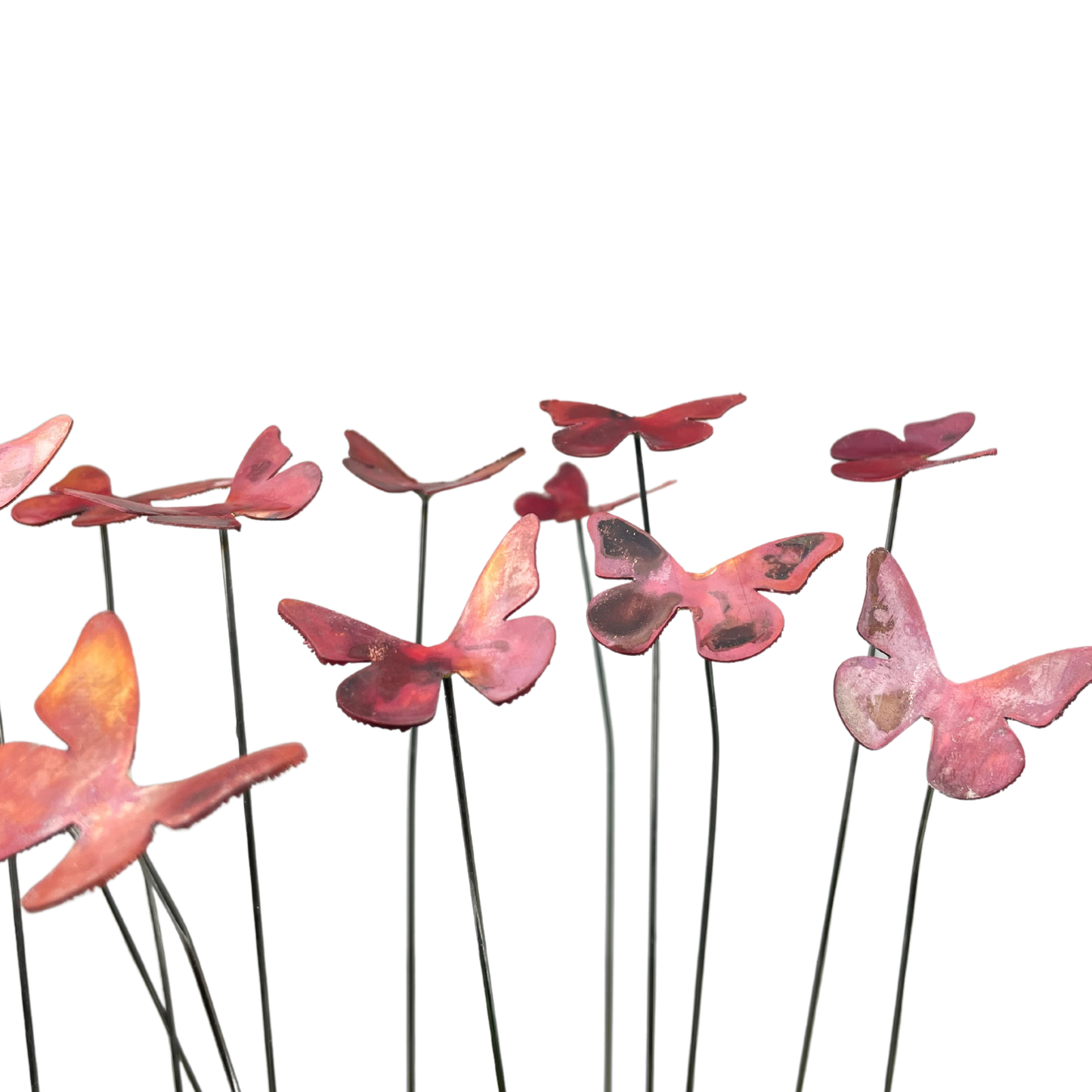 Copper Butterflies- Bare