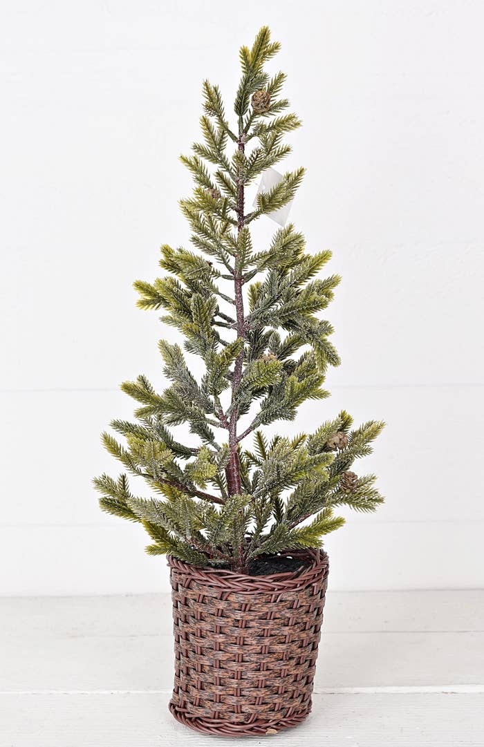 28003- 22inH Sage Balsam Fir Tree w. Willow Pot-0/6pcs