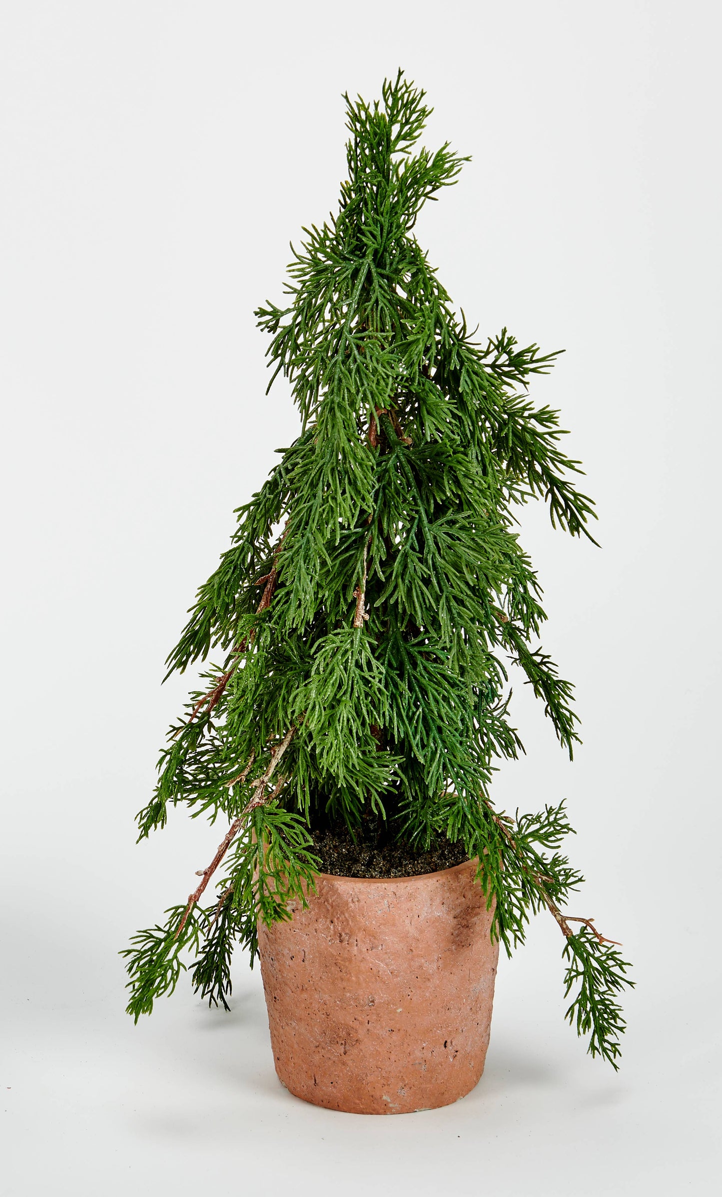 18" Potted Cedar Tree
