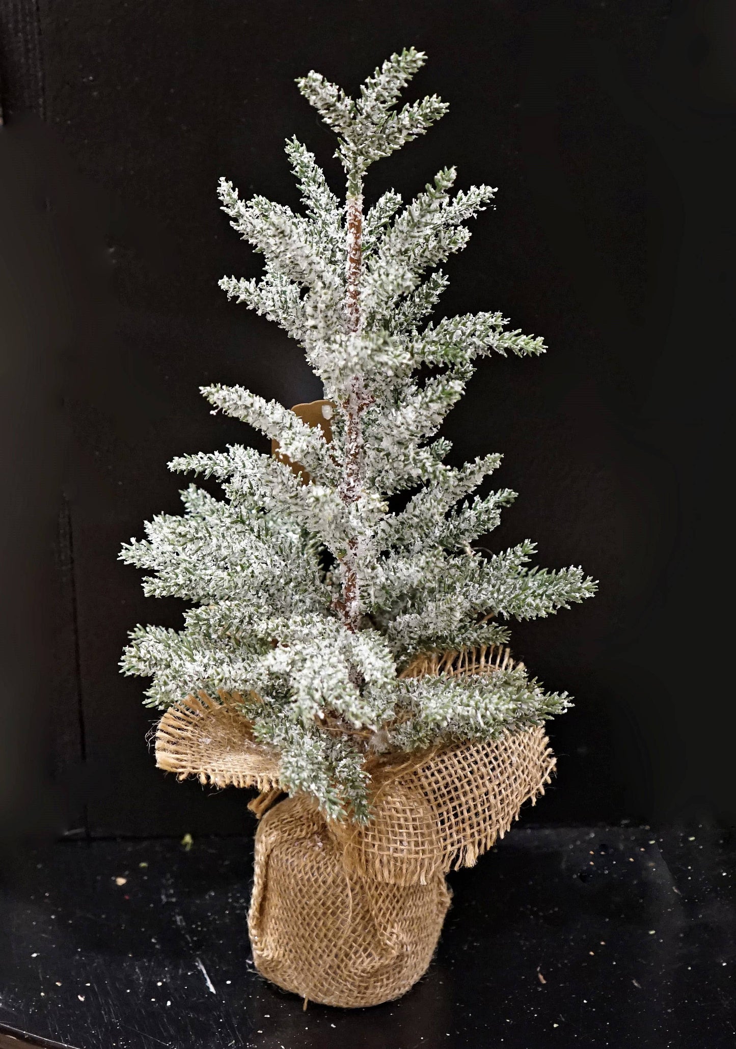 ISB73341- 16in Snowy Blue Cypress Pine Tree