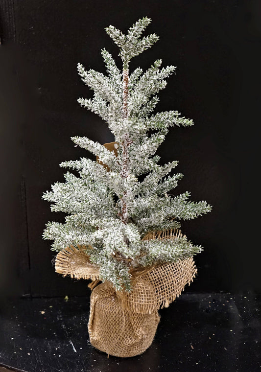 ISB73341- 16in Snowy Blue Cypress Pine Tree