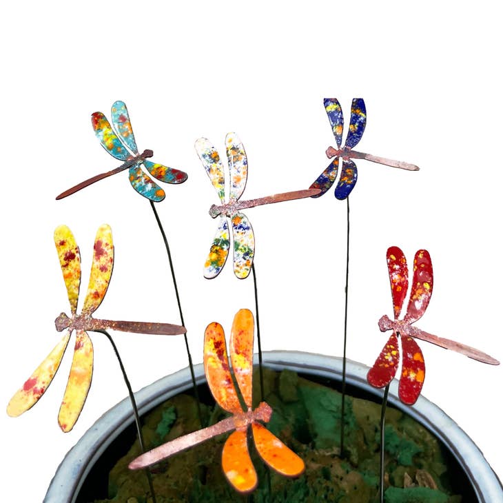 Dragonfly Enamel