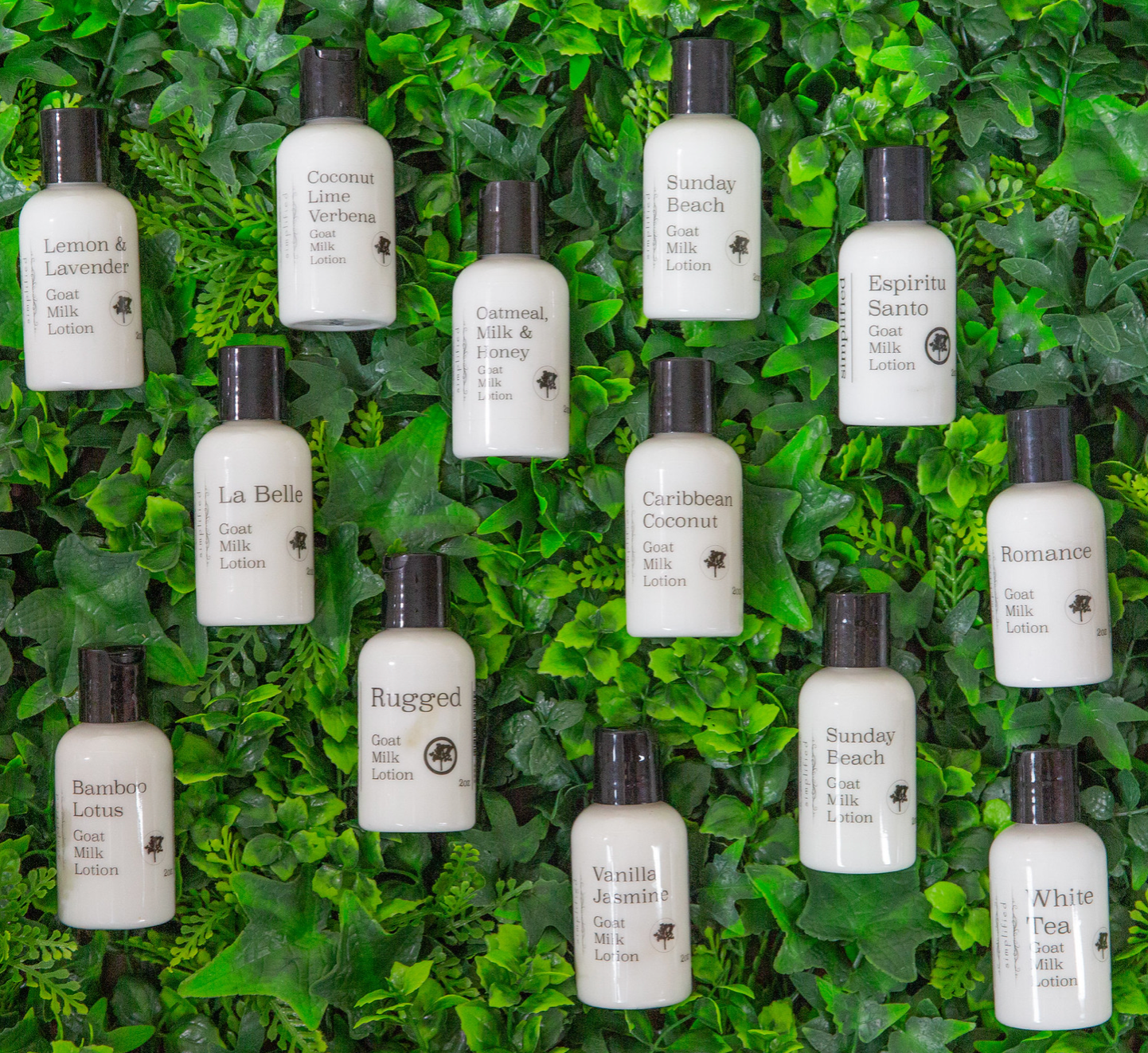 2oz Goat Milk Lotion: Summer