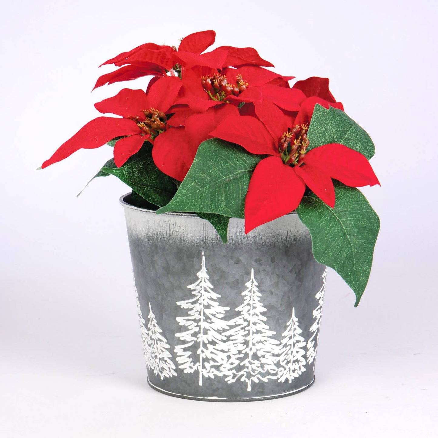 RD TIN PLANTER