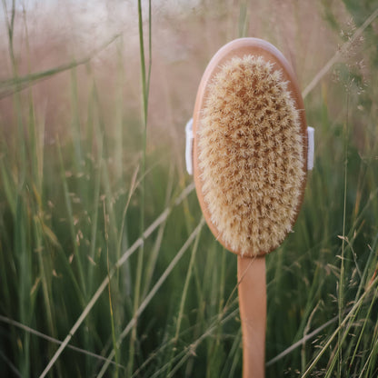 Body brush with handle, wooden massage maternity women eco spa wellness