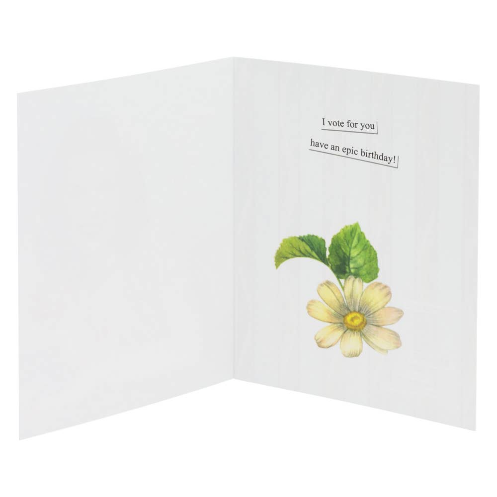 Birthday Card Example Anne Taintor