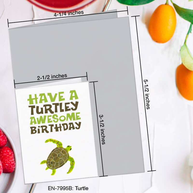 Turtle, Greeting Card (7995B): A2 Card