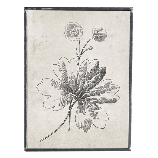 Vintage Black and White Print, Flower 2, Wall Decor