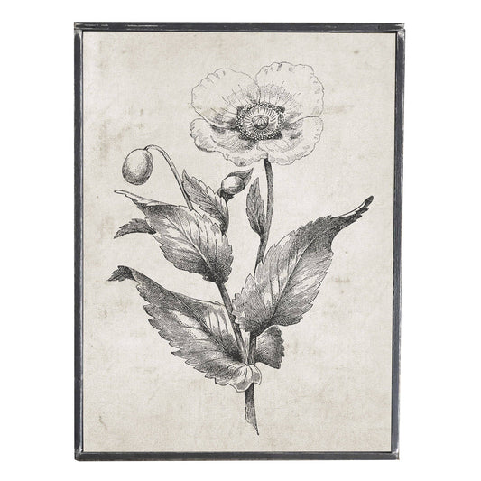 Vintage Black and White Print, Flower 1, Wall Decor