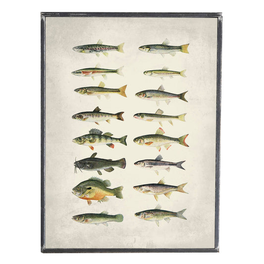 Vintage Fish Art, Lake Art, Wall Decor