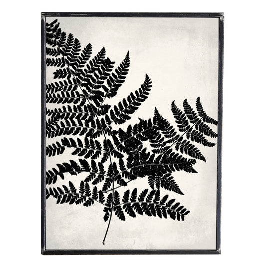 Fern (1), Vintage Style Print,