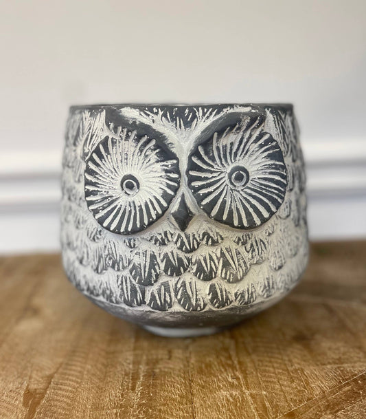 CEMENT BLACK OWL PLANTER