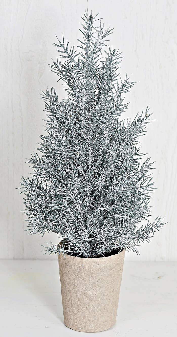 12in Snowy Rosemary Tree w. paper port-6/48pcs