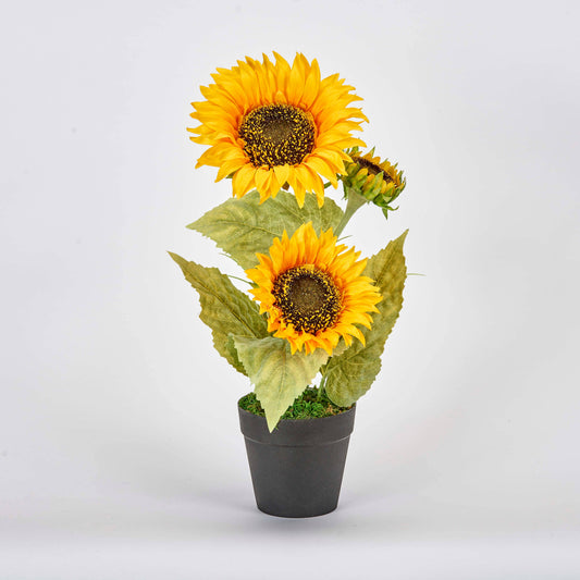14"  Potted Sunflower W/ 3 Sunflower Heads