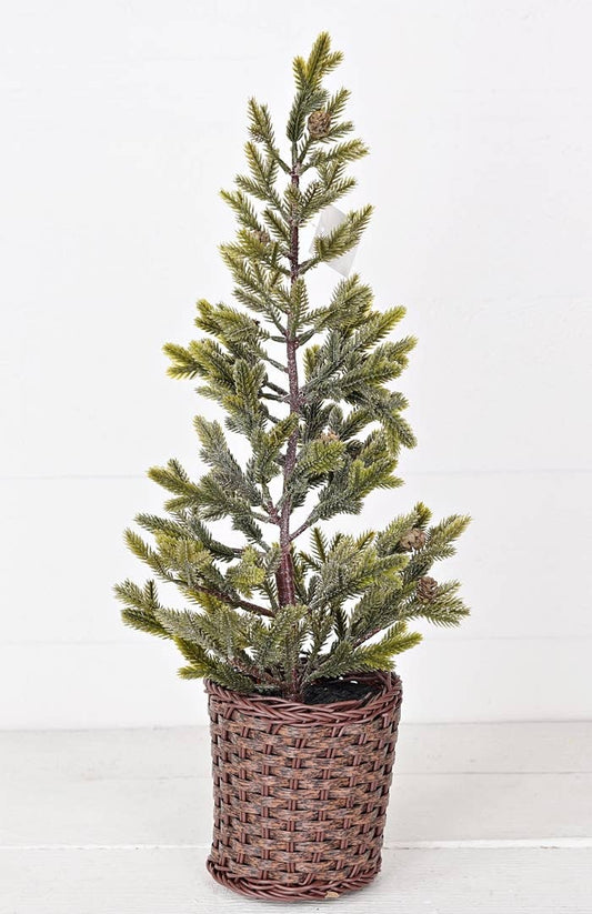 28003- 22inH Sage Balsam Fir Tree w. Willow Pot-0/6pcs
