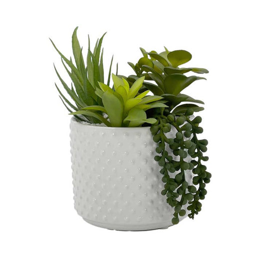Faux Succulents in White Cylinder Ceramic Pot