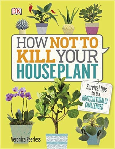 How Not to Kill Your Houseplant: Survival Tips