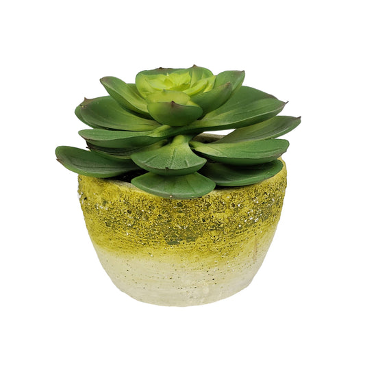 Faux Succulent In Yellow Tinted Cement Pot