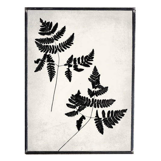 Vintage Style Print, Fern (2), Wall Decor