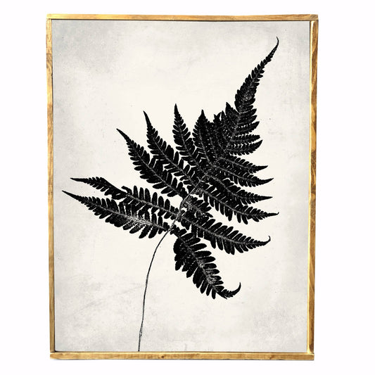 Vintage Style Print, Fern (3), Wall Decor